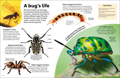 Eyewonder Bugs GB - Hardback