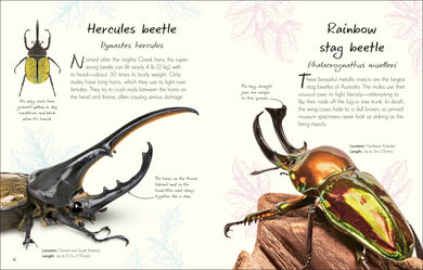 An Anthology of Beetles GB - Hardback
