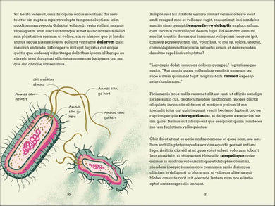 Project Penicillin US - Paperback / softback