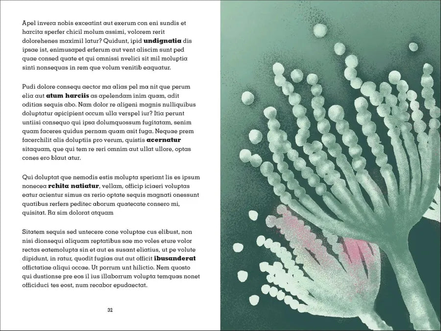 Project Penicillin US - Paperback / softback