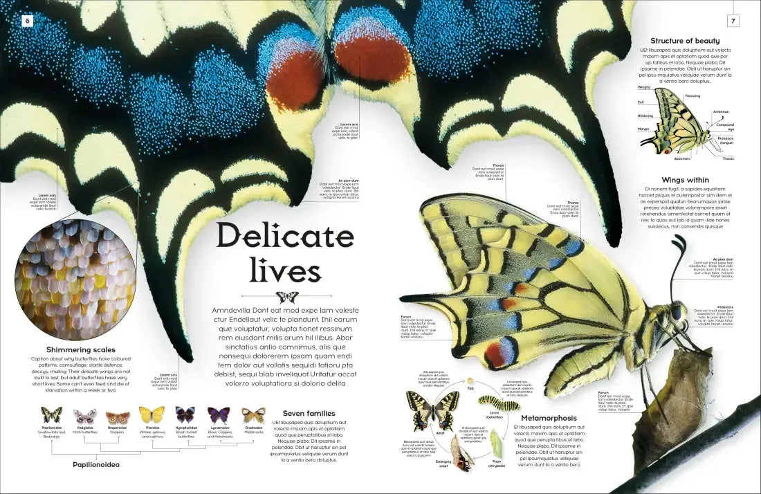 Shapes of Nature US - Hardback