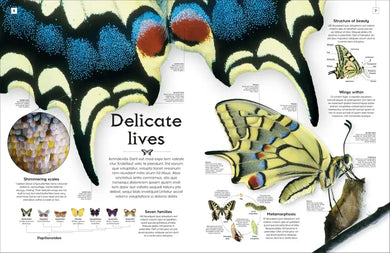 Shapes of Nature US - Hardback