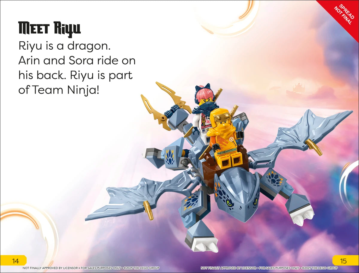 DK Super Readers Level 1 LEGO Ninjago US - Hardback