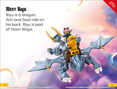 DK Super Readers Level 1 LEGO Ninjago US - Hardback