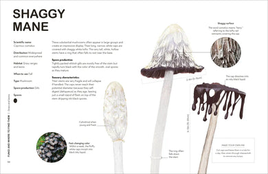 Fungi for Gardeners US - Hardback