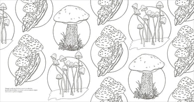 Fascinating Fungi US - Paperback / softback