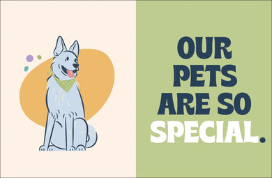 A Kids Book About Pets and Love US - Hardback
