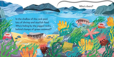 Pop-Up Peekaboo! Seashore US - Board book