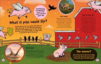 What If... Pigs Could Fly? US - Hardback