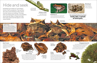 Eyewitness Amphibian US - Hardback