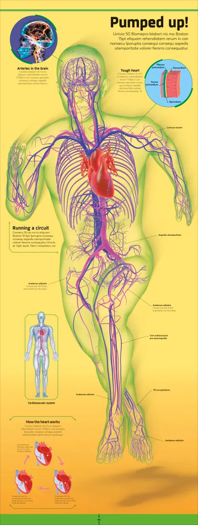 Body US - Hardback