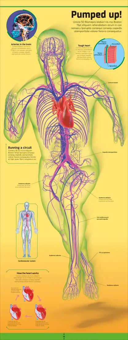 Body US - Hardback