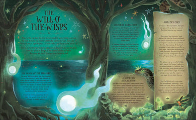 Extraordinary History of the Fae US - Hardback