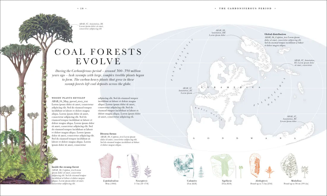Atlas of Botany US - Hardback