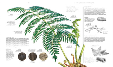 Atlas of Botany US - Hardback