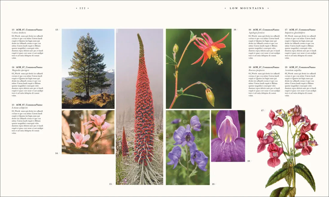 Atlas of Botany US - Hardback