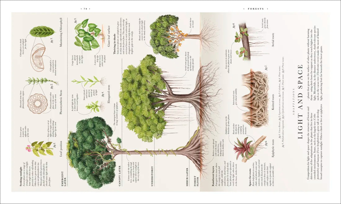 Atlas of Botany US - Hardback