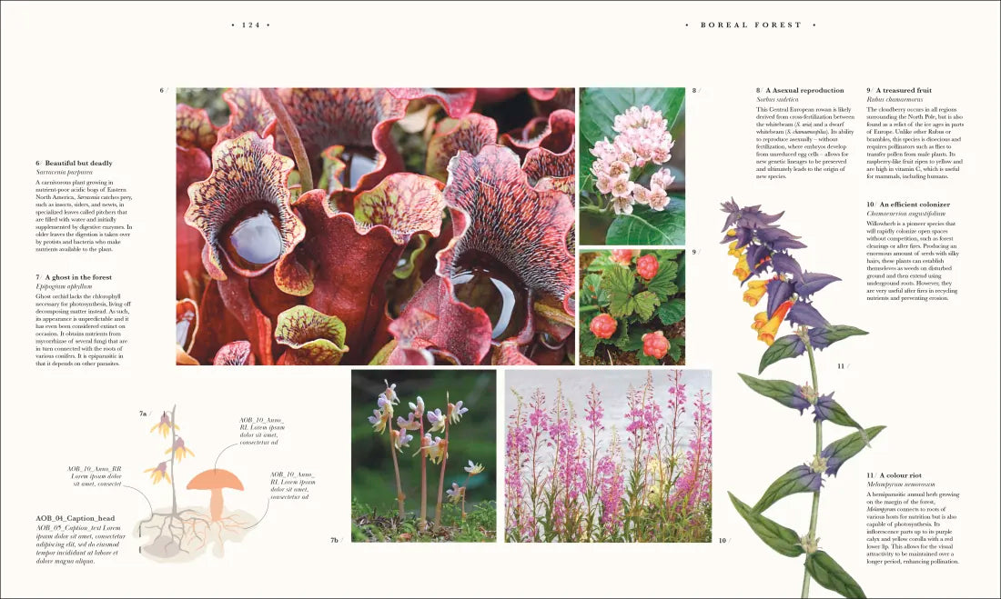 Atlas of Botany US - Hardback