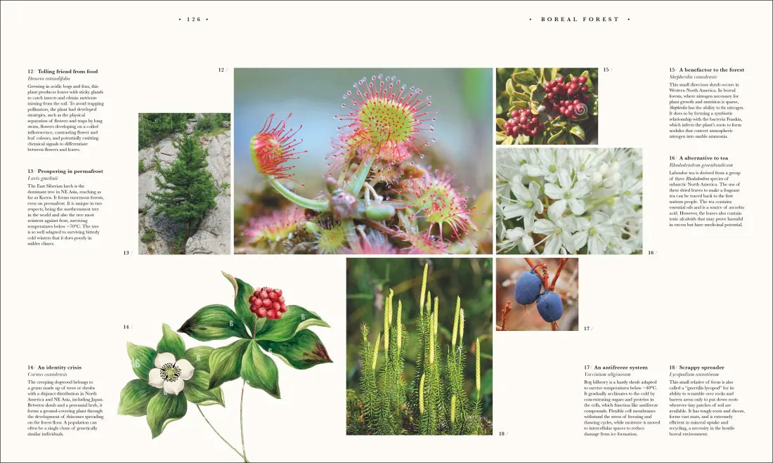 Atlas of Botany US - Hardback