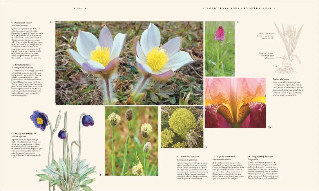 Atlas of Botany US - Hardback