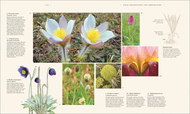 Atlas of Botany US - Hardback