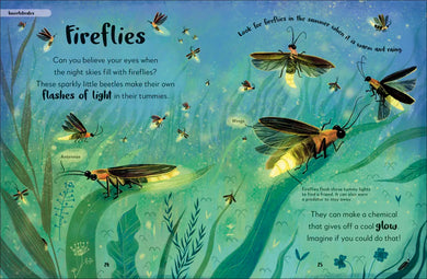 The Bedtime Book of Night-Time Animals US - Hardback