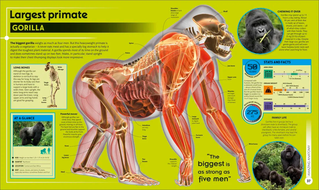Super Nature Encyclopedia US - Hardback