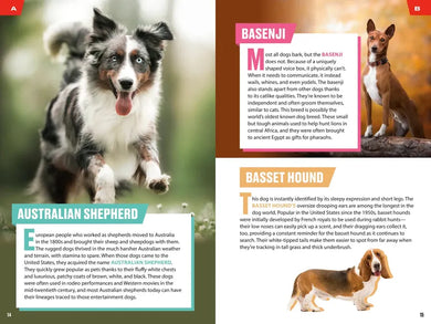 TIME for Kids: Good Dogs! US - Paperback / softback