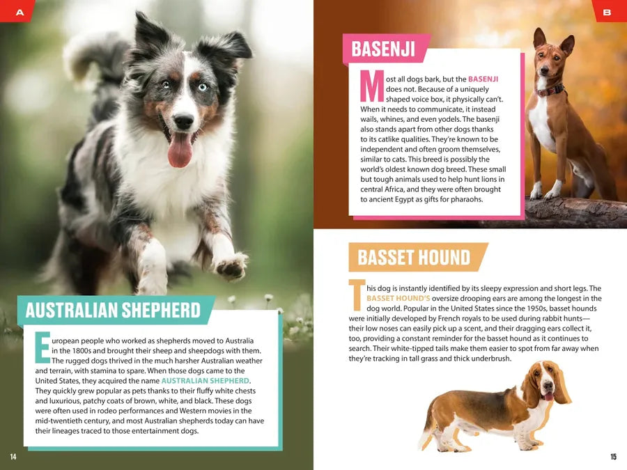 TIME for Kids: Good Dogs! US - Paperback / softback
