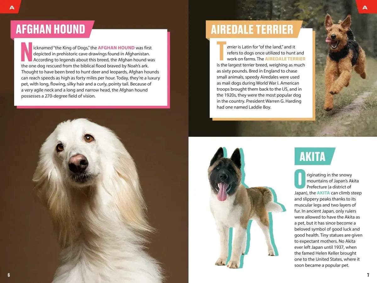 TIME for Kids: Good Dogs! US - Paperback / softback