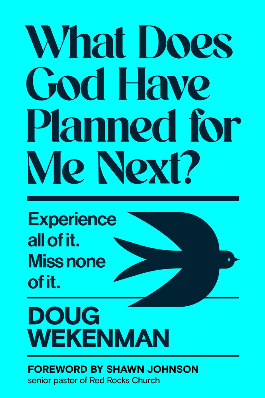 What Does God Have Planned for Me Next?