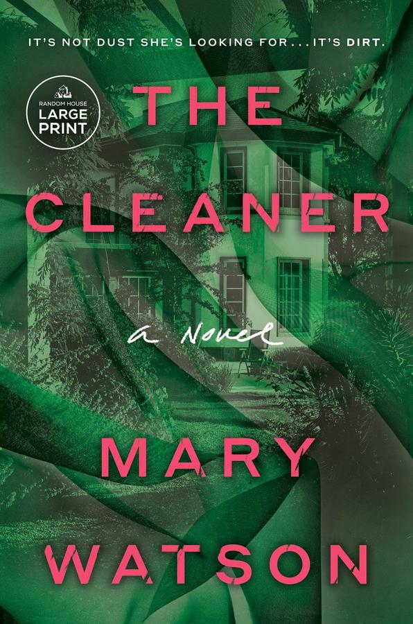 The Cleaner