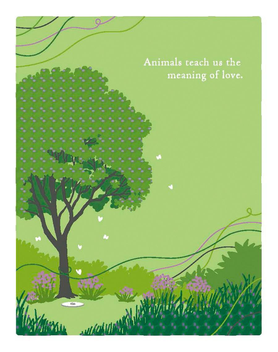 Positively Green Greeting Cards: Pet Sympathy - Animals Teach Us the Meaning of Love (Pack of 6)-Lifestyle and Leisure-買書書 BuyBookBook