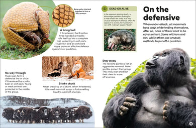 Eyewonder Mammals US - Hardback