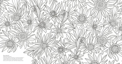 Wonderful Wildflowers Coloring Book US - Paperback / softback