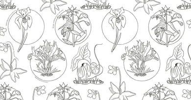Wonderful Wildflowers Coloring Book US - Paperback / softback