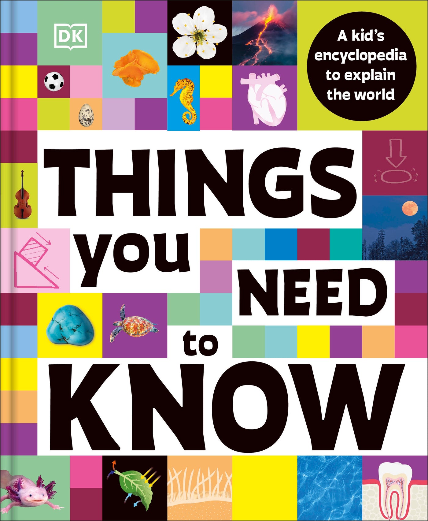 Things You Need to Know