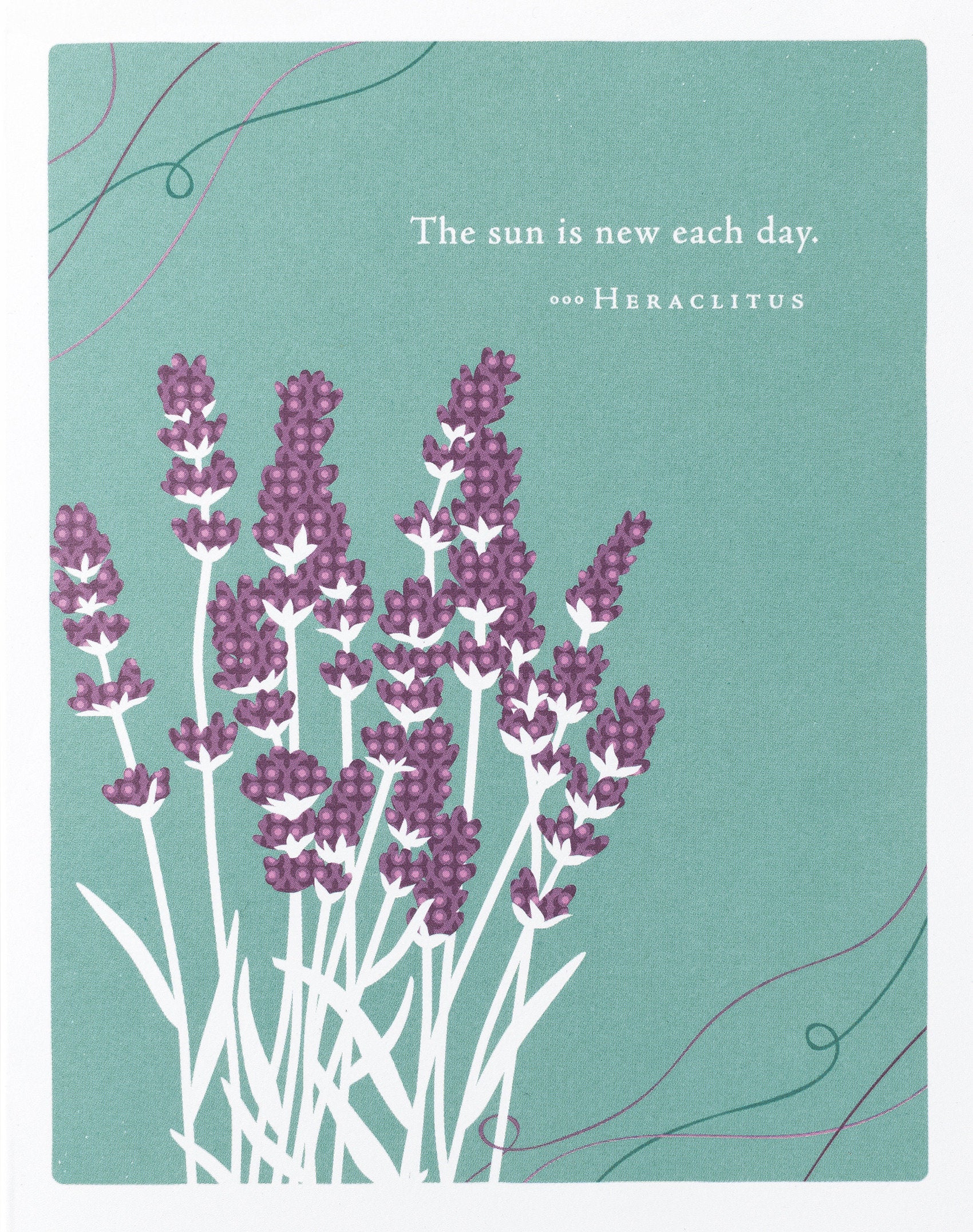 Positively Green Greeting Cards: Get Well - The sun is new each day (Pack of 6)