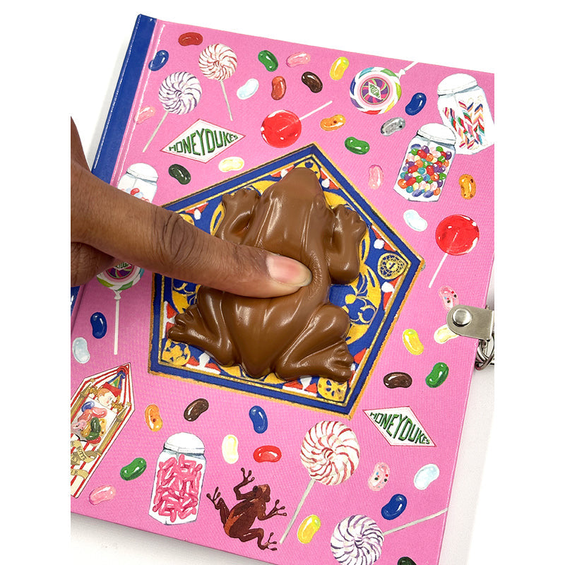 Harry Potter: Chocolate Frog Squishy Lock & Key Diary inside page 1