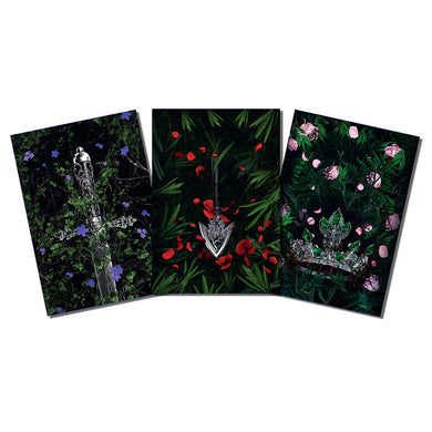 Lauren Roberts: Powerless Trilogy Notebook Boxed Set (Set of 3) inside page 1