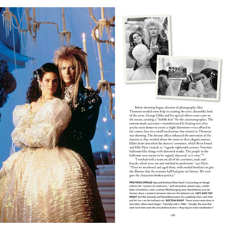 Labyrinth: VHS Edition inside page 5