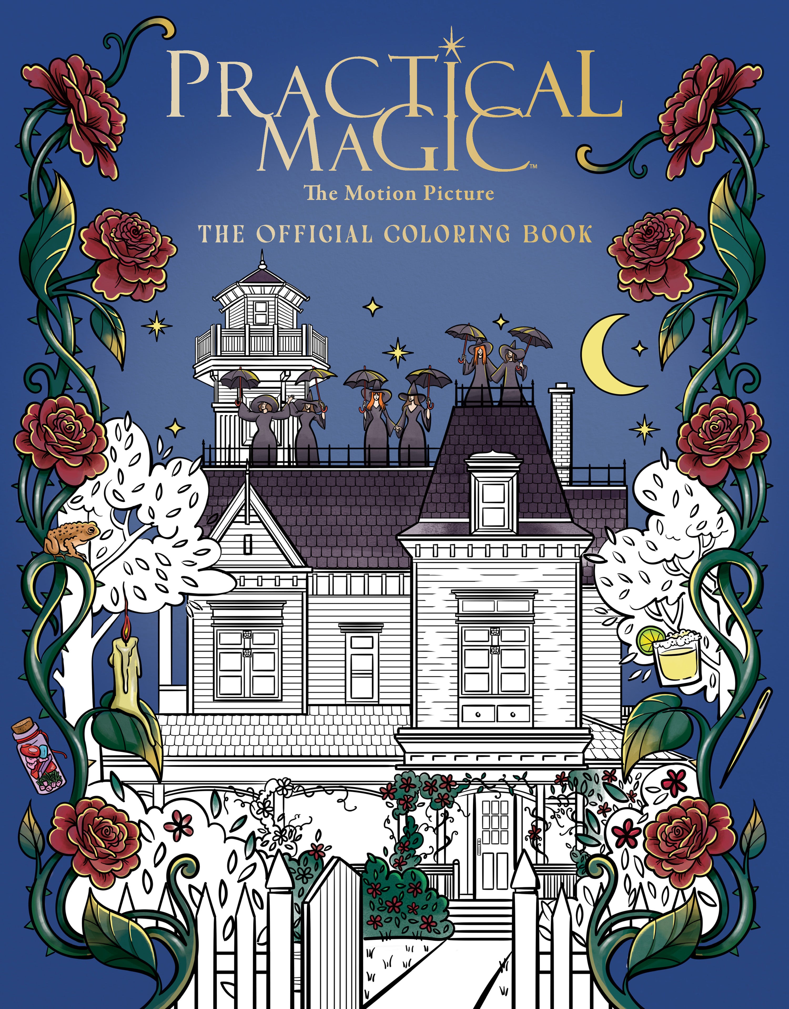 Practical Magic: The Motion Picture: The Official Coloring Book