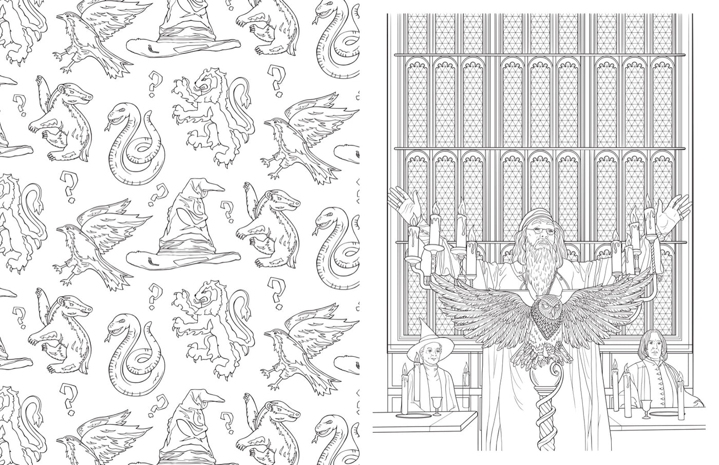 Harry Potter: An Official Hogwarts Coloring Book inside page 4