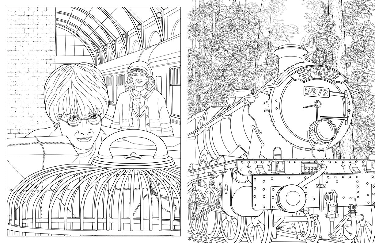Harry Potter: Travels Through the Wizarding World inside page 1