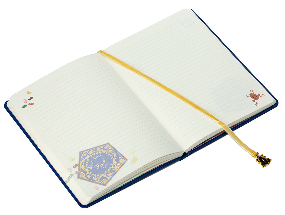 Harry Potter: Chocolate Frog Journal with Ribbon Charm inside page 3
