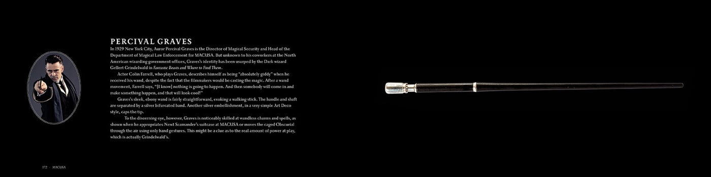 Harry Potter and Fantastic Beasts: The Wands of the Wizarding World inside page 3
