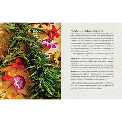 High Times: Cannabis Cocktails inside page 3