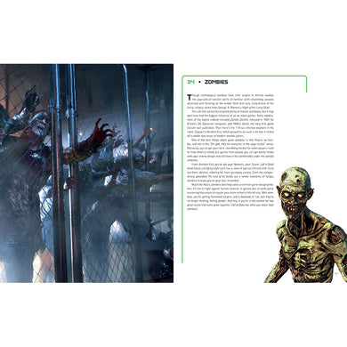 Video Games in 100 Objects inside page 8