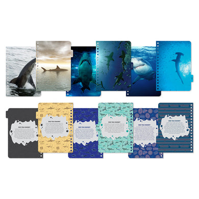 2026 Shark Week 13-Month Weekly Planner inside page 1