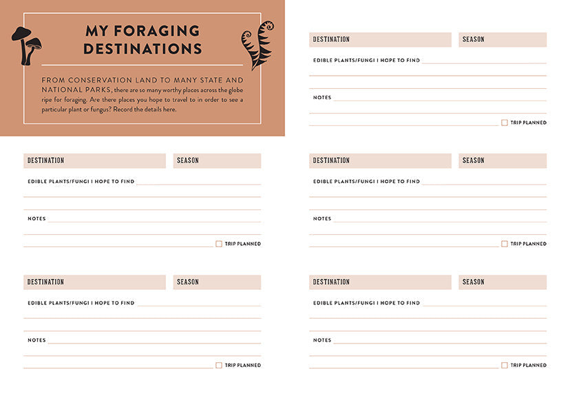 Forager's Journal inside page 5